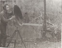Recording the Limpkin