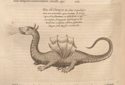 Mundus Subterraneus, 3rd edition: Winged, four-legged dragon