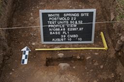 Cross-section of Post Mold 22 at the White Springs Site
