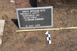 Plan View of Post Mold 122 at the White Springs Site