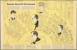 Senate Summit Cartooned