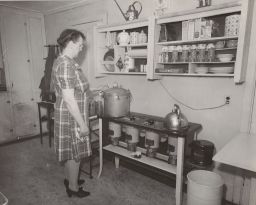 Woman Canning at Stove