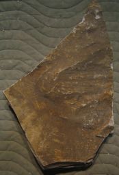 Parthenon frieze, unidentified fragment