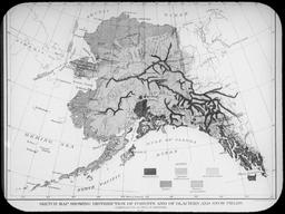 Map of Alaskan glaciers and snow fields