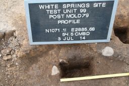 Cross-section of Post Mold 79 at the White Springs Site