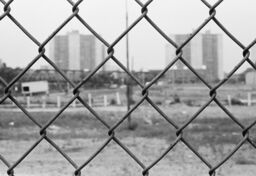 Chain link fence, Michelangelo Apartments