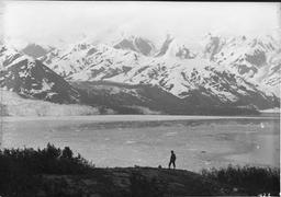 Long focus picture of union of Turner and Haenke Glaciers from near summit of Haenke Island