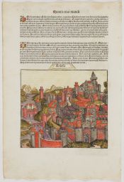 Woodcut depicting the city of Toulouse, France - from the Nuremberg chronicle