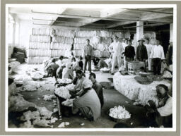 Perrin Cooper & Company, Tianjin, China : Chinese workers sorting cotton