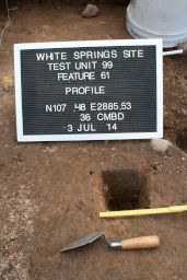 Cross-section of Post Mold 61 at the White Springs Site