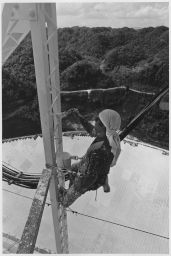 Arecibo 1 Worker above telescope, painting panels