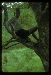 Rukha ma basi raheko manchhe (रुखमा बसिरहेको मान्छे / Sitting on a Tree Branch)