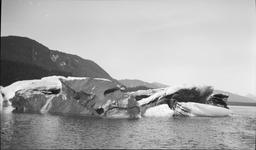 Iceberg, Glacier Bay