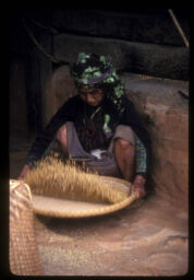 mahila dhan nifandai (महिला धान निफन्दै / Woman Winnowing Rice Grains)
