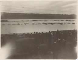 Crew race on Cayuga Lake; cars and spectators in foreground, on east shore