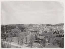 East Ave. (bordered by Ostrander Elms) in foreground, looking west toward Vet and Ag schools.