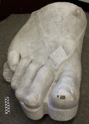 Colossal foot