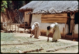 Householders preparing materials for basket weaving