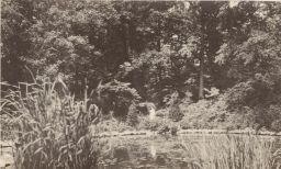 Woman with parasol by pond in foreground, bench in background