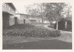 Ivy-covered lawn in Baldwin Hills Village.