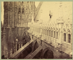 Reims Cathedral, view from Tower over Buttresses      