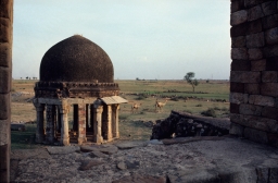 Sultan Ghari Tomb
