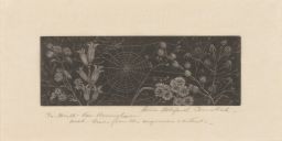 Engraving of Flowers and Spider Web