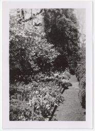 Ralph Hanes estate, flora along a path