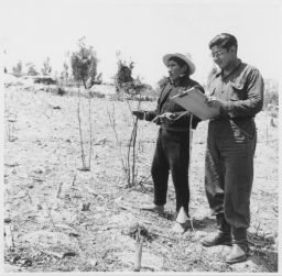 Ortiz and Reyes measuring fields Pedro Ortis y Vicente Reyes midiendo terreno