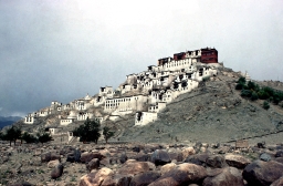 Thikse Gompa