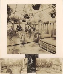 Four photos mounted on cardboard, depicting the sunroom and gardens of Olive Tjaden's home.