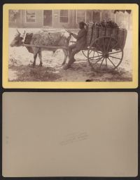 Man sitting on loaded ox-drawn cart