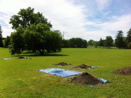 West Lawn of the White Springs Site During Excavation, 2014