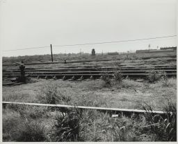 West End of Barney Yard (The Hump Yard) and Main Coal Yard at Lambert's Point