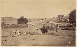 Haynes in Anatolia, 1884 and 1887: View of landscape with hay bales and tent