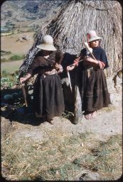 Two Vicos women spinning wool