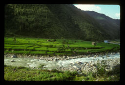 sundar Trishuli nadi ra hariyali dhankhetiko drisya (सुन्दर त्रिशुली नदी र हरियाली धानखेतको दृश्य / Beautiful Trishuli River and Greenery Paddy Field)