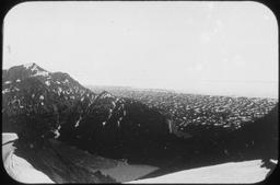 Malaspina Glacier from summit of Chaix Hill, Alaska