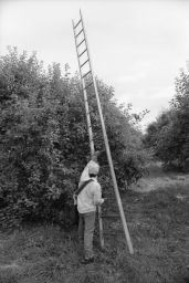 Man positioning a ladder.