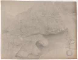 Haynes in Anatolia, 1884 and 1887: "Broken Lion Tomb," or Yılan Taş, Köhnüş Valley, Phrygia.