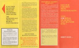 Save our children from homosexuality! pamphlet (side 1, incl. outer covers).