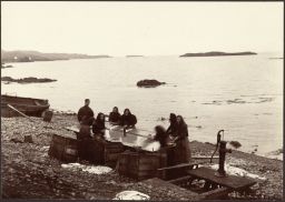 Vopnafjörður.  Fish washing 