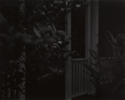 Untitled #4 (Leaves and Porch) from the portfolio Night Coming Tenderly, Black