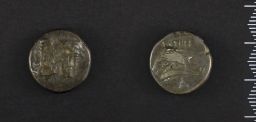 Bronze Coin (Mint: Istrus)