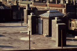 Rooftop, Michelangelo Apartments