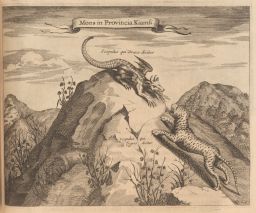 China Illustrata: Dragon and Tiger mountain
