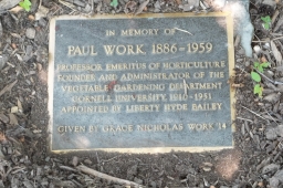 Paul Work