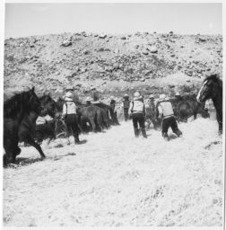 Winnowing barley by running horses over it Cebada- Ysmush