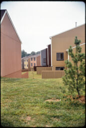 Becontree Lane homes and backyards (Reston, Virginia, USA)