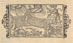 Woodcut from Olaus Magnus’s Historia de gentibus septentrionalibus